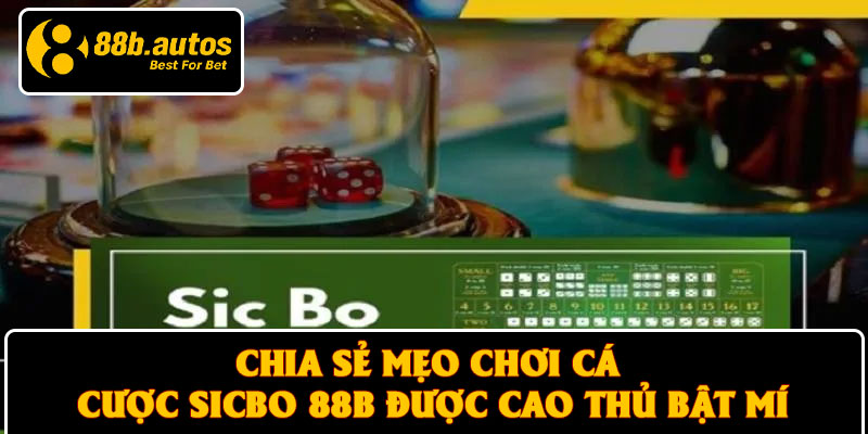 Chia sẻ mẹo chơi cá cược Sicbo 88B được cao thủ bật mí
