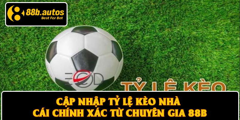 Cập Nhập Tỷ Lệ Kèo Nhà Cái Chính Xác Từ Chuyên Gia 88B